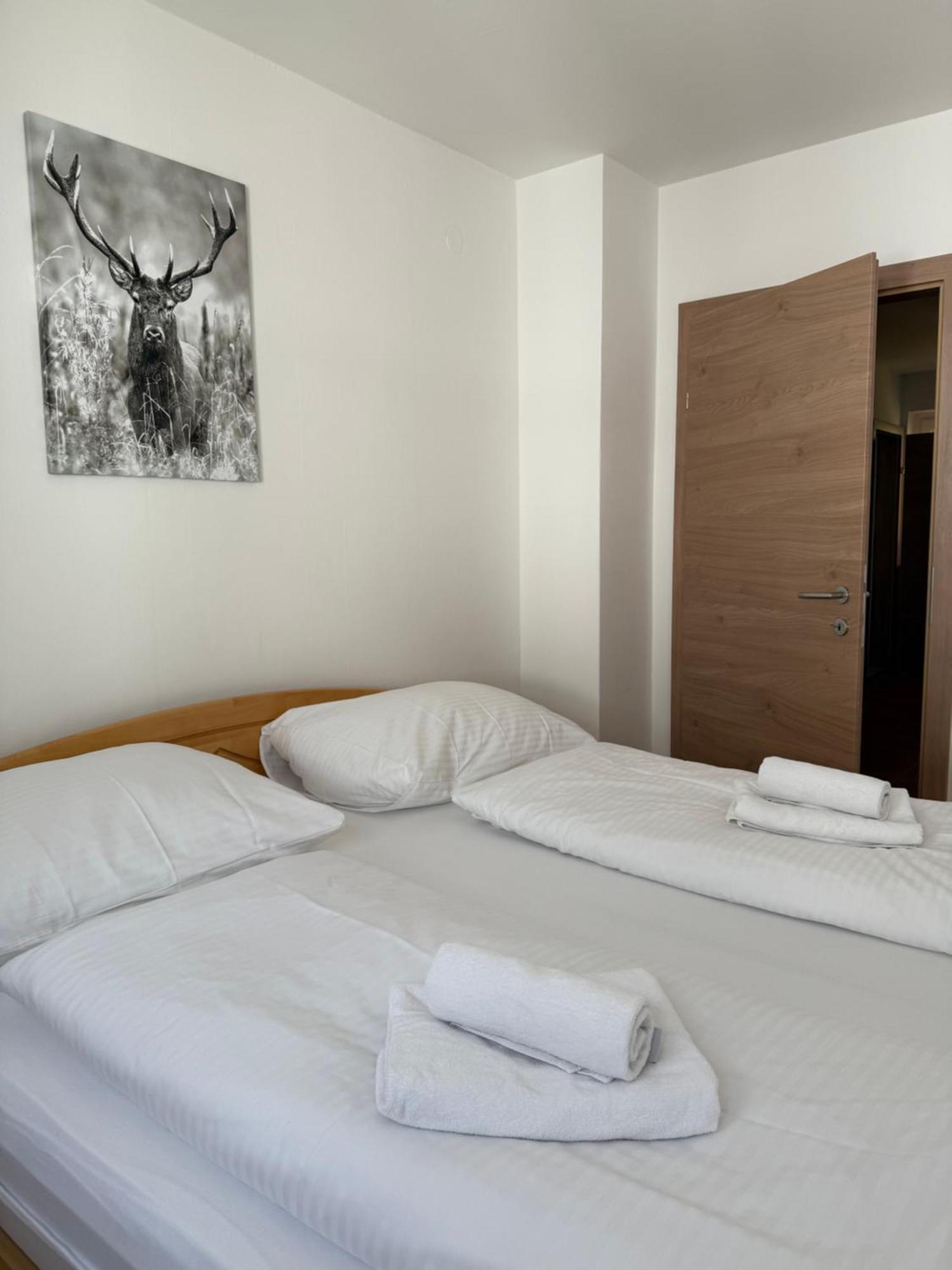 Appartement Berger Zell am See Zewnętrze zdjęcie